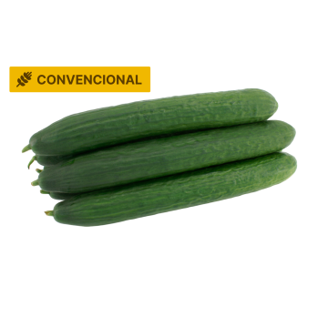 Pepino  Convencional