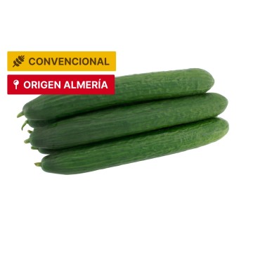 Pepino  Convencional