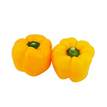 Pimiento Amarillo