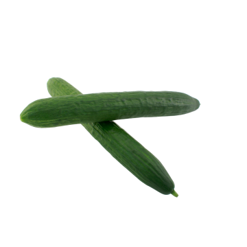 Pepino Orgánico