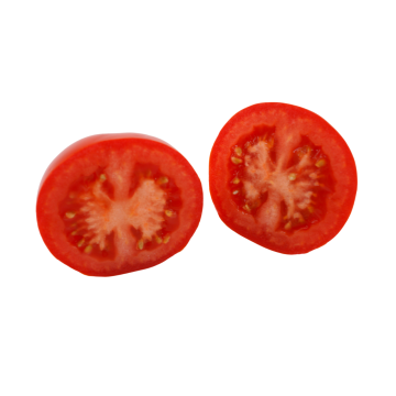 Tomate Rama
