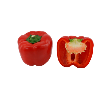 Pimiento Rojo Ecológico