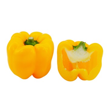 Pimiento Amarillo